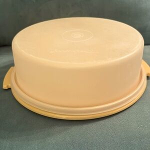 Vintage Tupperware 10" Pie Saver /  Single Layer Cake Holder / Keeper